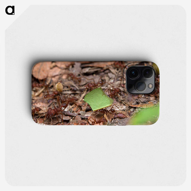 2-54_Insects-Unlocked-Project_phone