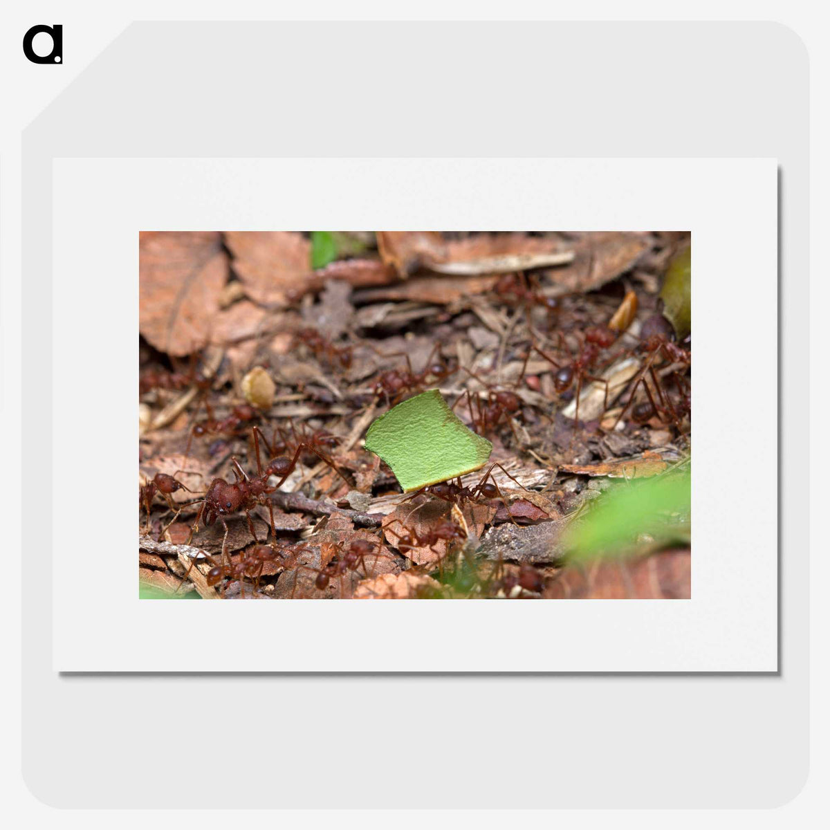 2-54_Insects-Unlocked-Project_picture