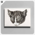 アートパネル-Sketch of a cat - ジャン ベルナール Canvas.
