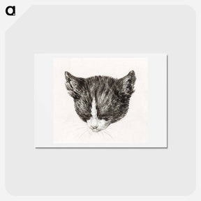 アートポストカード-Sketch of a cat - ジャン ベルナール Postcard.
