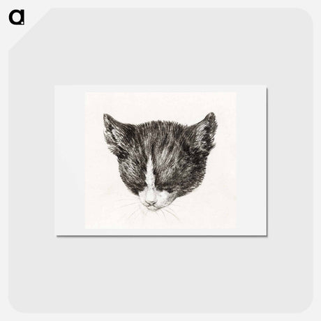 アートポストカード-Sketch of a cat - ジャン ベルナール Postcard.