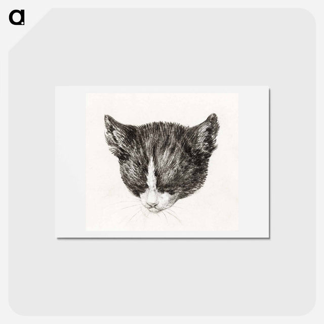 アートポストカード-Sketch of a cat - ジャン ベルナール Postcard.