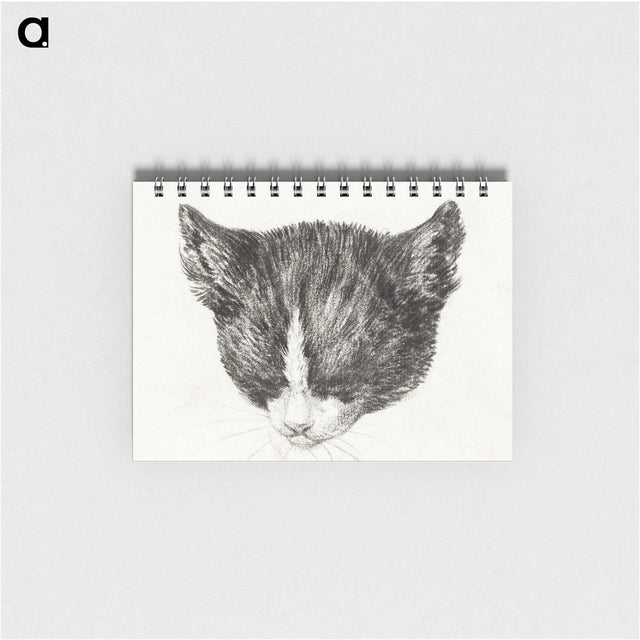 2-54_Jean-Bernard_memo