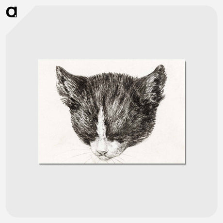 アートポストカード-Sketch of a cat - ジャン ベルナール Postcard.