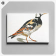 2-54_Johan-Teyler_canvas