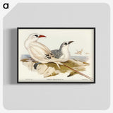 2-54_John-Gould_blk-crop