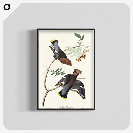 2-54_John-James-Audubon_blk-crop