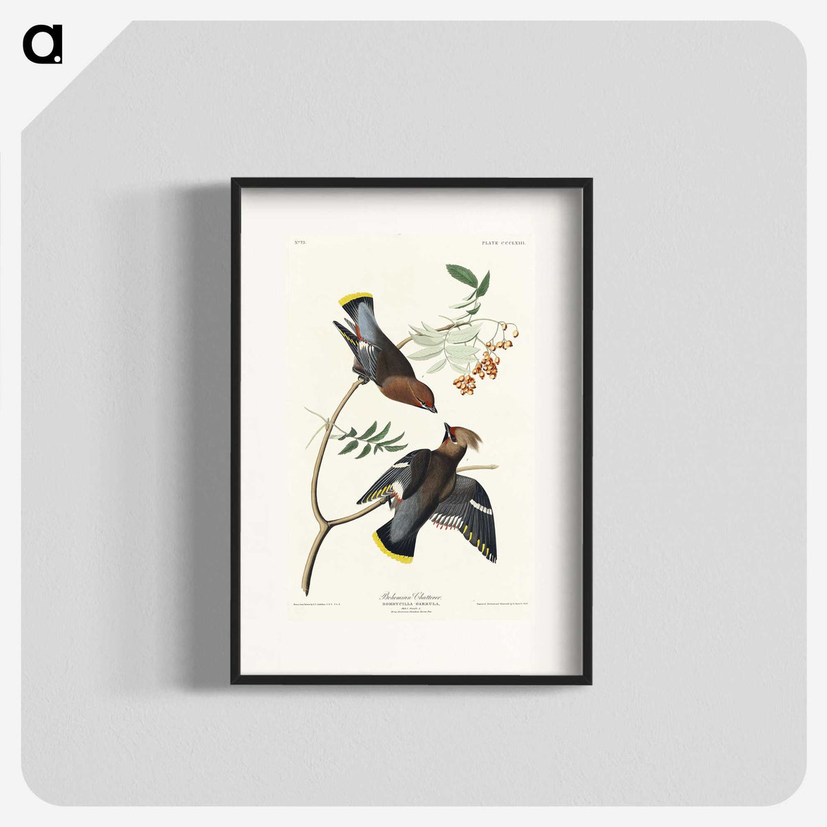 2-54_John-James-Audubon_blk