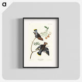 2-54_John-James-Audubon_blk
