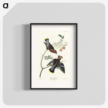 2-54_John-James-Audubon_blk