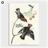 2-54_John-James-Audubon_picture-crop