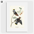 2-54_John-James-Audubon_picture