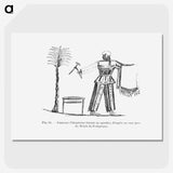 2-54_Les-Palmiers-Histoire-Iconographique_picture-crop