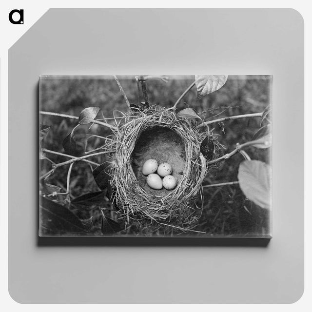 2-54_Leslie-Adkin_canvas