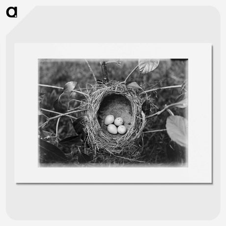 2-54_Leslie-Adkin_picture