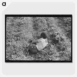 2-54_Marion-Post-Wolcott_picture-crop