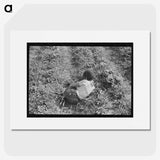 2-54_Marion-Post-Wolcott_picture