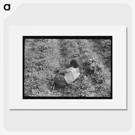 2-54_Marion-Post-Wolcott_picture