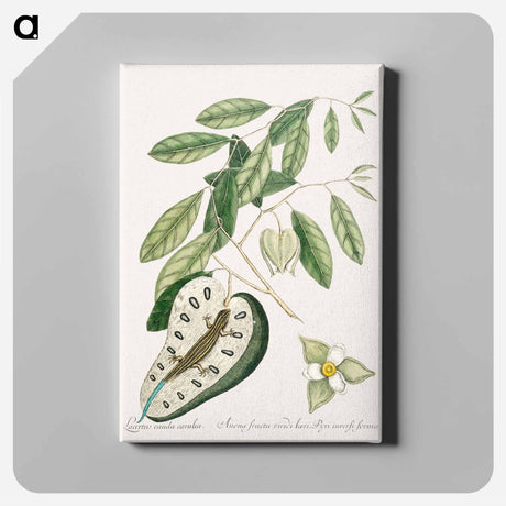 アートパネル-Blue Tail Lizard
 - マーク ケイツビー Canvas.