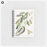 2-54_Mark-Catesby_memo