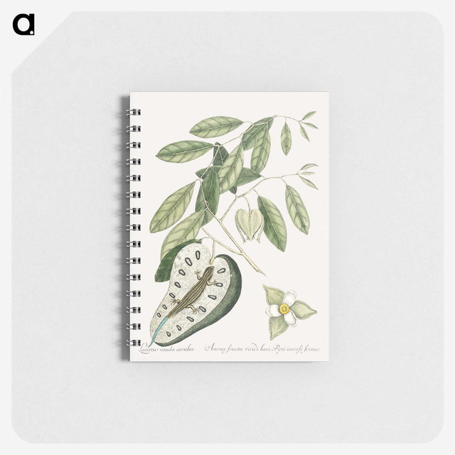 2-54_Mark-Catesby_memo