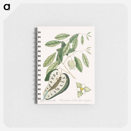 アートメモ帳-Blue Tail Lizard
 - マーク ケイツビー Memo.