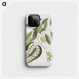 2-54_Mark-Catesby_phone