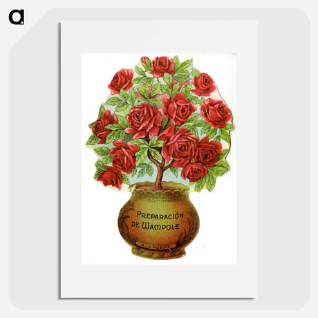 アートポスター-Wampole's Preparation Roses Advertisement
 - 国立医学図書館 Poster.