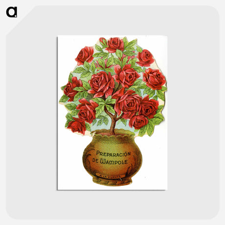 アートポストカード-Wampole's Preparation Roses Advertisement
 - 国立医学図書館 Postcard.