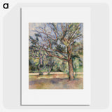 2-54_Paul-Cezanne_picture
