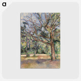 2-54_Paul-Cezanne_postcard