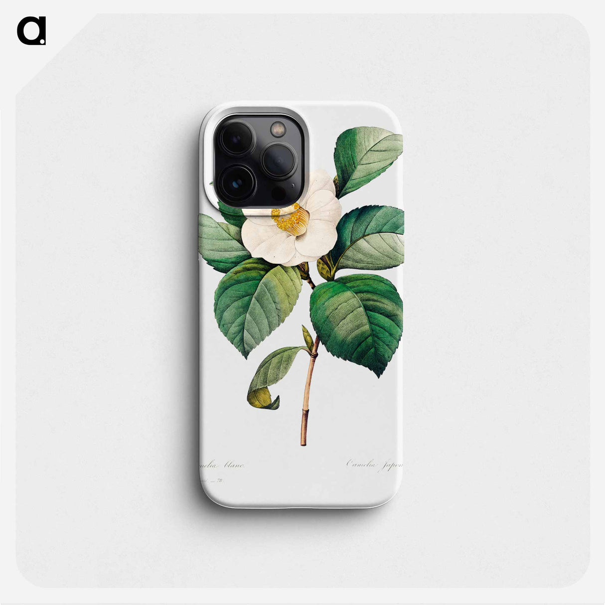 White Japanese camellia - Pierre Joseph Redouté Phone Case.