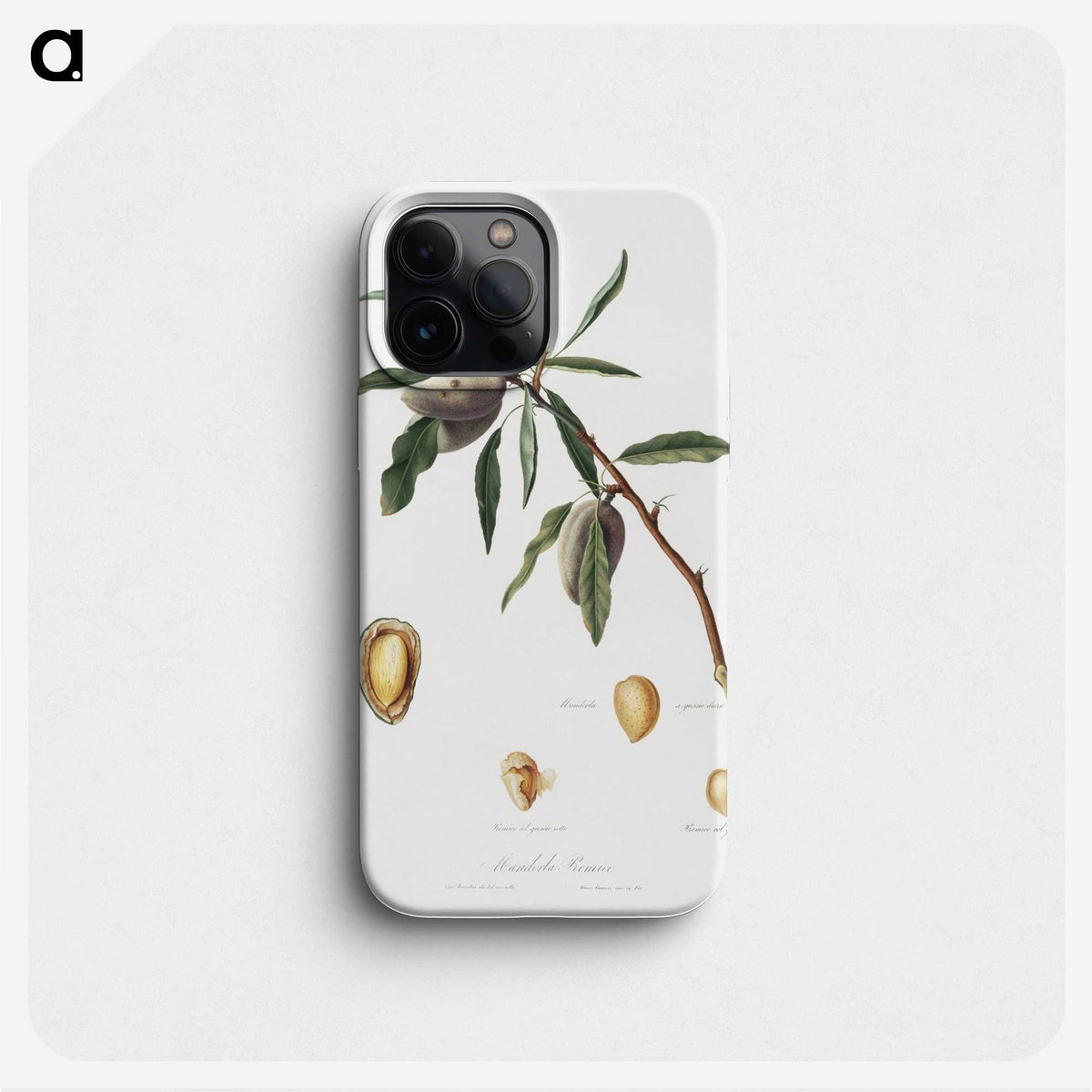 2-54_Pomona-Italiana_phone
