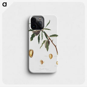 2-54_Pomona-Italiana_phone