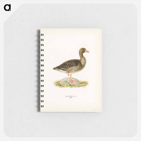 アートメモ帳-Greylag Goose
 - スヴェンスカ フォグラル Memo.