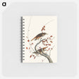 アートメモ帳-Hermit Thrush from Birds of America
 - アメリカの鳥たち Memo.