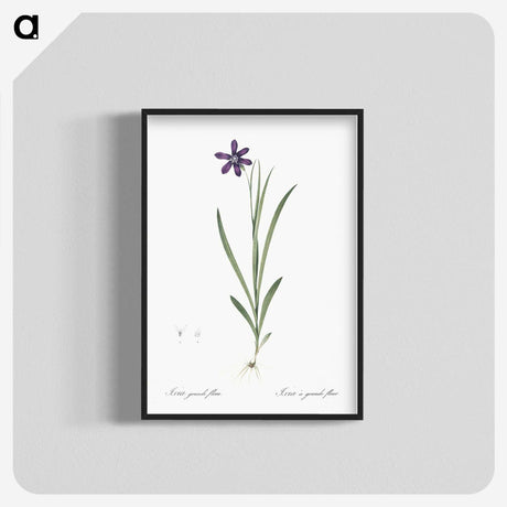 2-54_The-Lilies_blk-crop