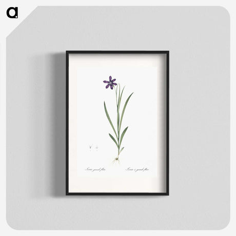 2-54_The-Lilies_blk