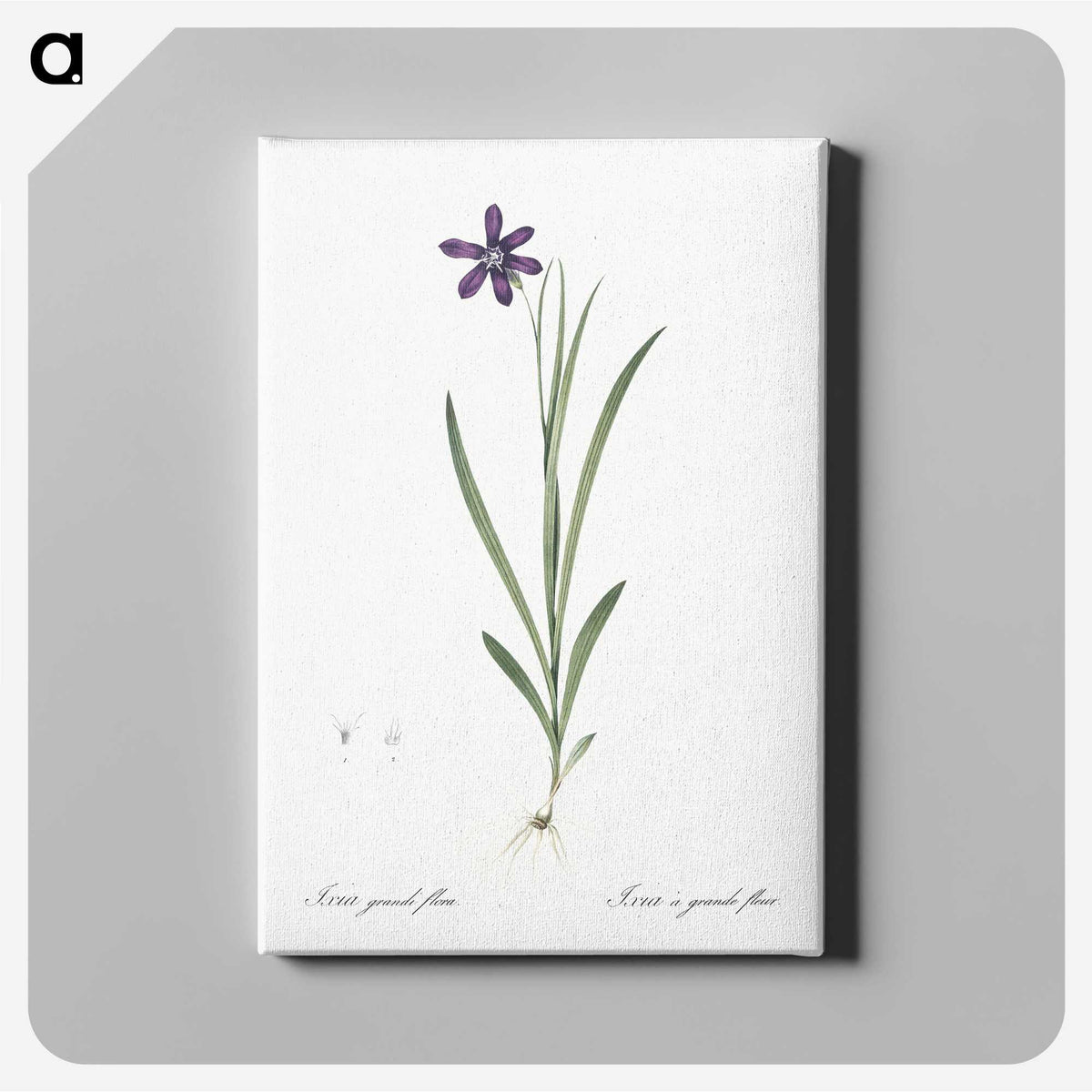 2-54_The-Lilies_canvas