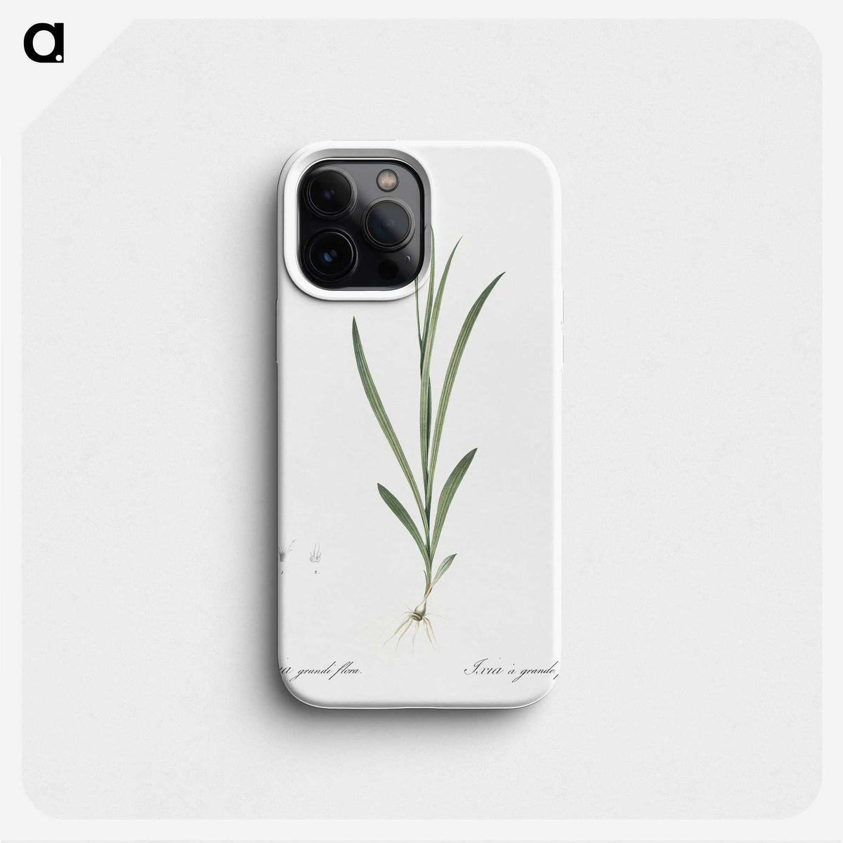 2-54_The-Lilies_phone