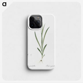 2-54_The-Lilies_phone