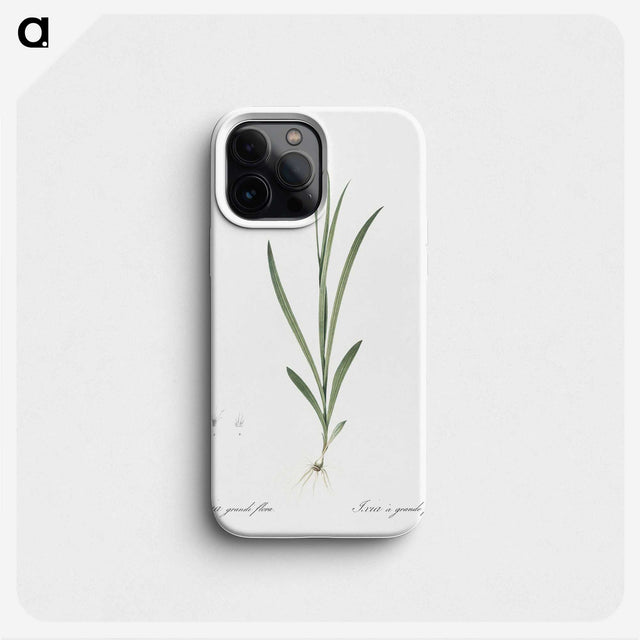 2-54_The-Lilies_phone