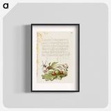 アートポスター-Spider, Sweet Cherry Flower, and English Oak Leaf with Galls
 - 書道のお手本 Poster.