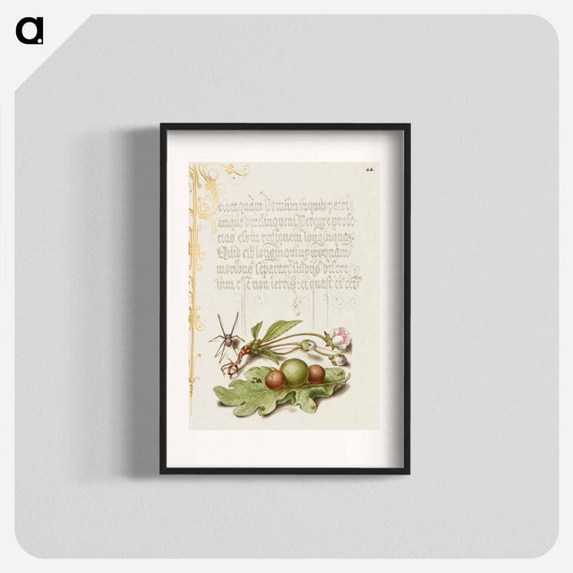 アートポスター-Spider, Sweet Cherry Flower, and English Oak Leaf with Galls
 - 書道のお手本 Poster.