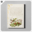 アートパネル-Spider, Sweet Cherry Flower, and English Oak Leaf with Galls
 - 書道のお手本 Canvas.