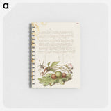 アートメモ帳-Spider, Sweet Cherry Flower, and English Oak Leaf with Galls
 - 書道のお手本 Memo.
