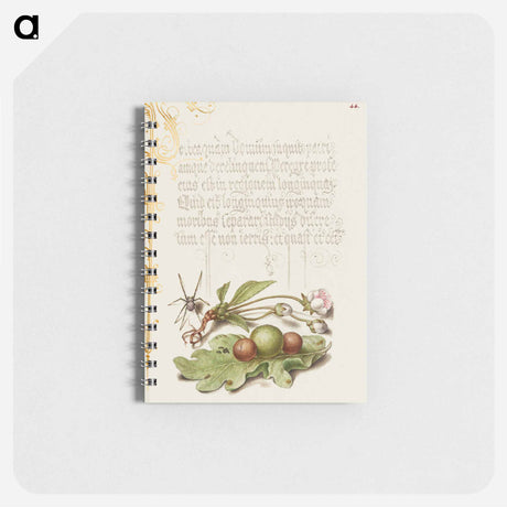 アートメモ帳-Spider, Sweet Cherry Flower, and English Oak Leaf with Galls
 - 書道のお手本 Memo.