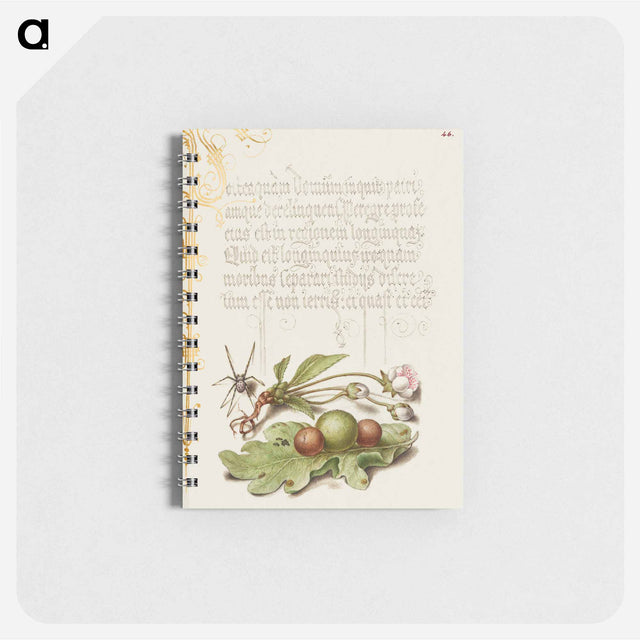 アートメモ帳-Spider, Sweet Cherry Flower, and English Oak Leaf with Galls
 - 書道のお手本 Memo.