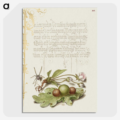 2-54_The-Model-Book-of-Calligraphy_picture-crop