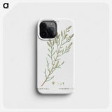 2-54_Treatise-on-Trees-and-Shrubs_phone
